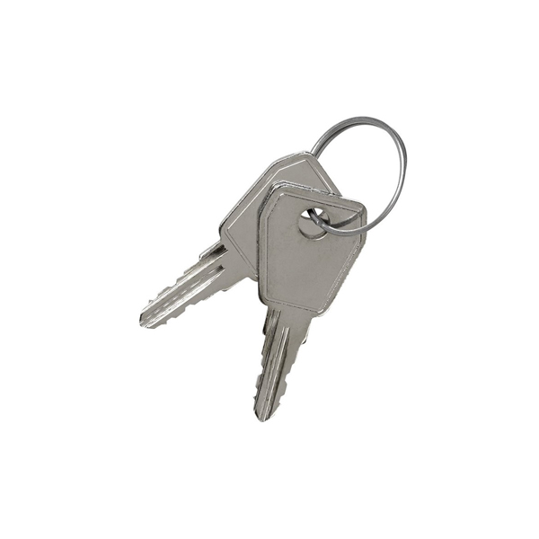 Juego de 2 llaves para cargador V2C